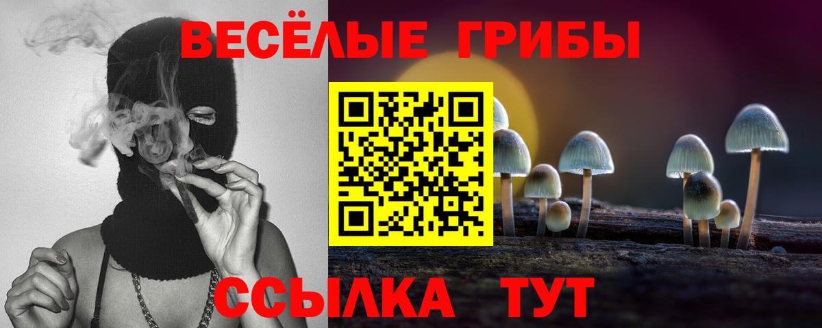Псилоцибиновые грибы MAGIC MUSHROOMS  Вход с VPN  Галлюциногенные грибы Psilocybe  Пушкино 